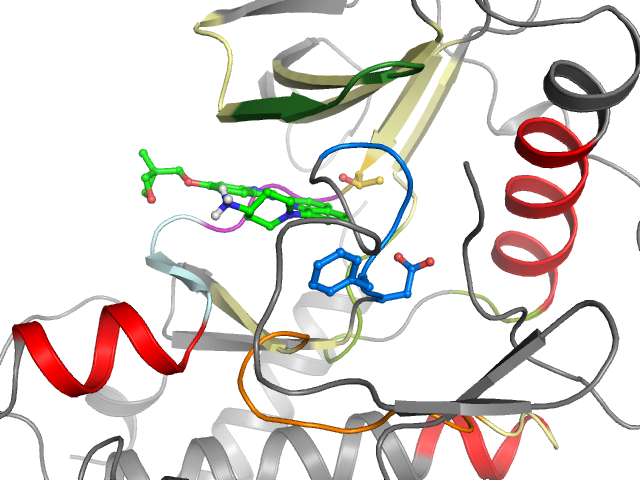 The orthosteric binding pocket