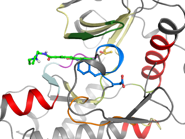 The orthosteric binding pocket