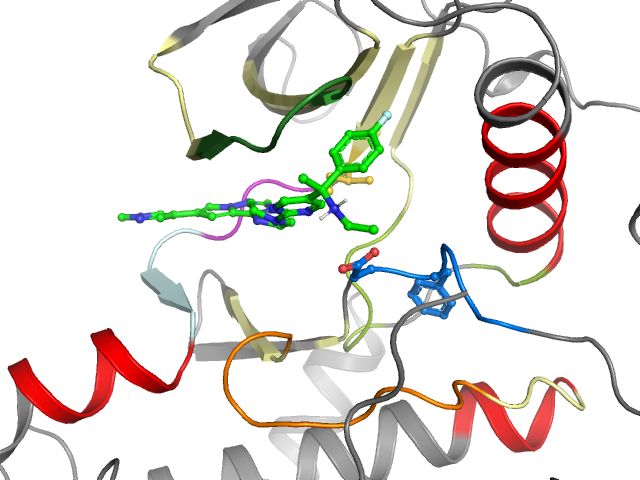 The orthosteric binding pocket