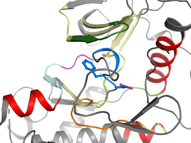The orthosteric binding pocket
