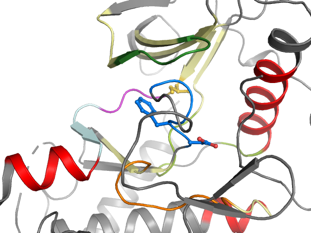 The orthosteric binding pocket