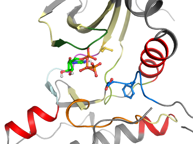 The orthosteric binding pocket