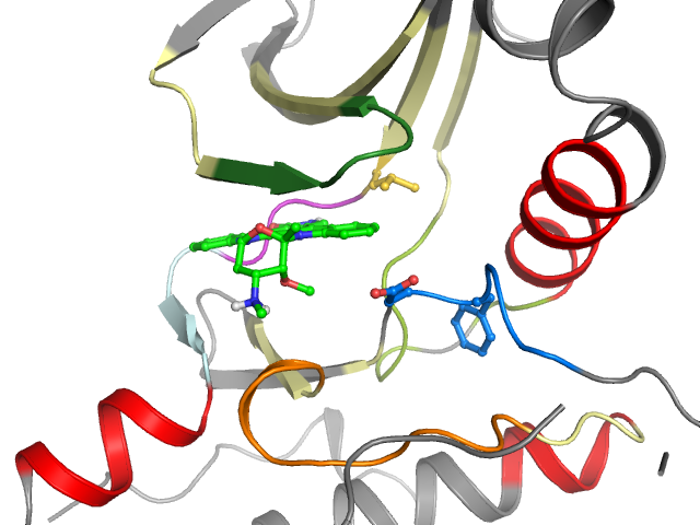 The orthosteric binding pocket