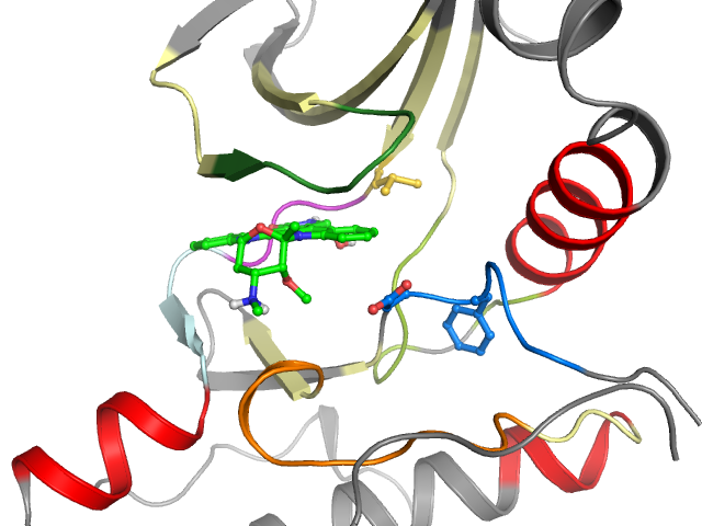 The orthosteric binding pocket
