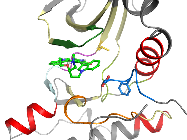 The orthosteric binding pocket