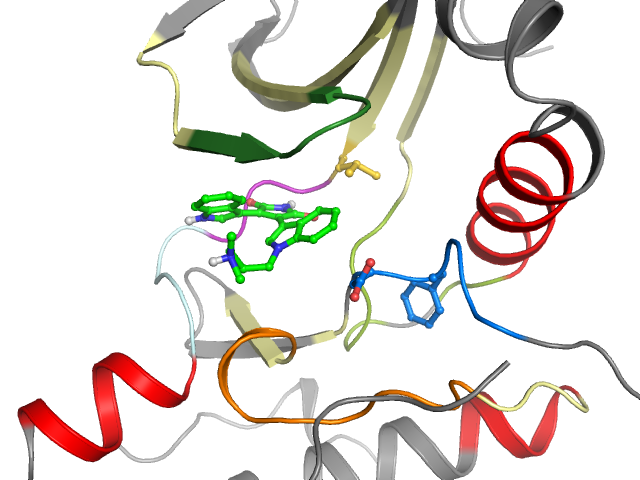 The orthosteric binding pocket
