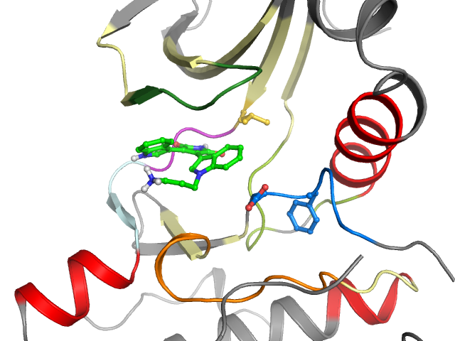 The orthosteric binding pocket