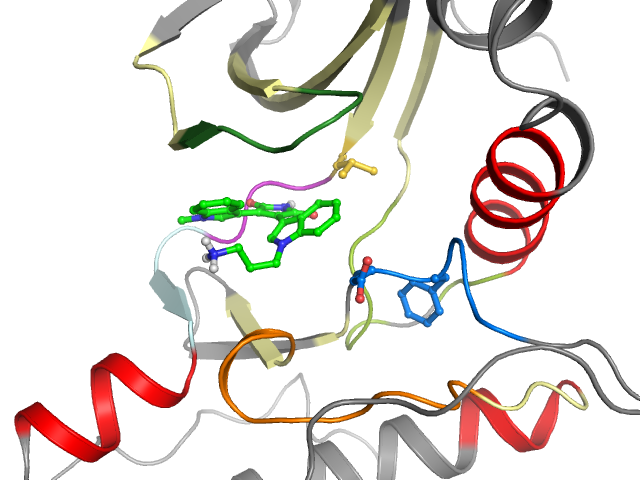 The orthosteric binding pocket