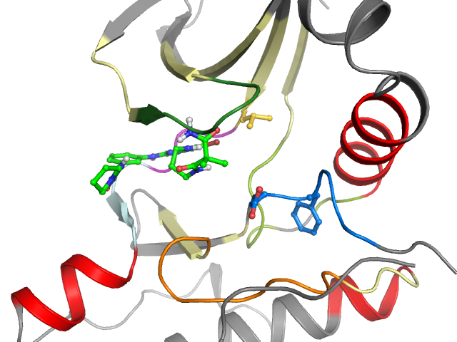 The orthosteric binding pocket