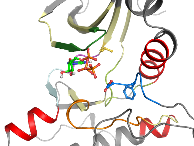The orthosteric binding pocket