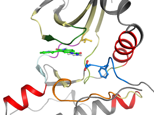The orthosteric binding pocket