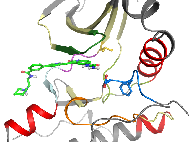 The orthosteric binding pocket