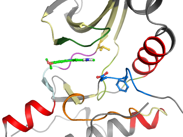 The orthosteric binding pocket