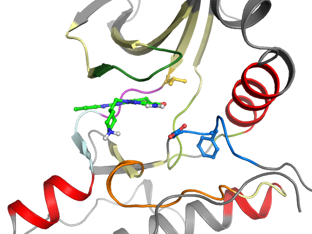 The orthosteric binding pocket
