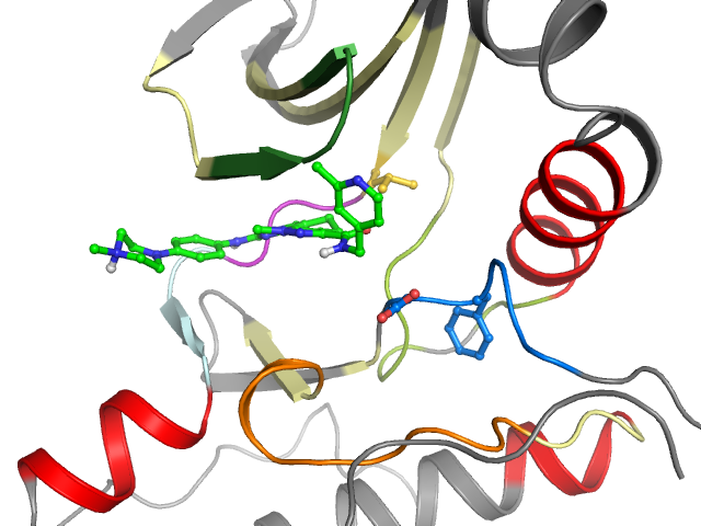 The orthosteric binding pocket