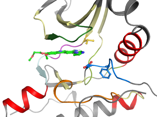 The orthosteric binding pocket
