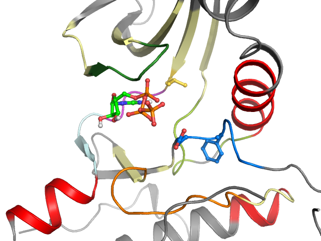 The orthosteric binding pocket