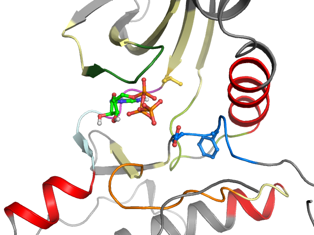 The orthosteric binding pocket