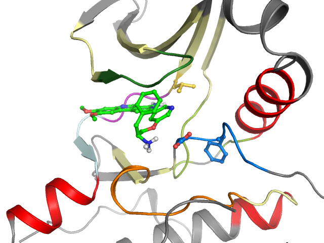 The orthosteric binding pocket