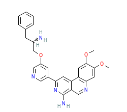 2D structure of the orthosteric ligand