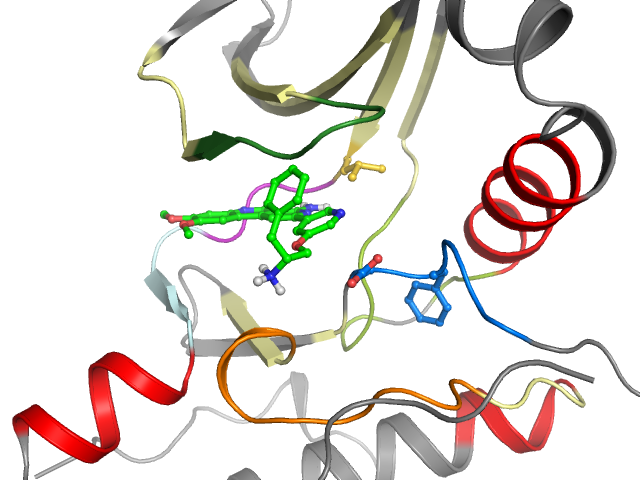 The orthosteric binding pocket