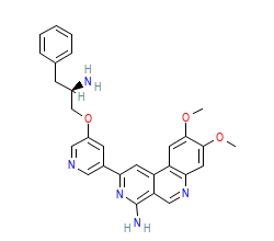 2D structure of the orthosteric ligand