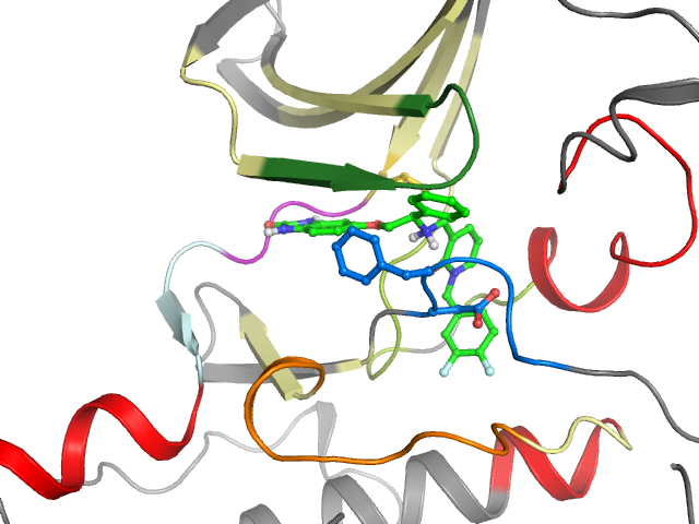 The orthosteric binding pocket