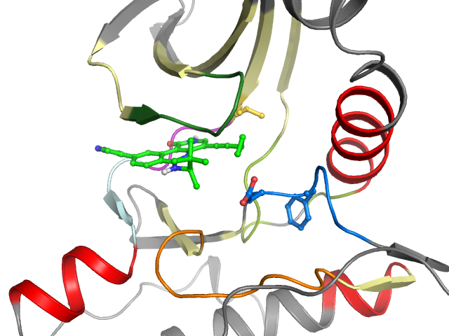 The orthosteric binding pocket