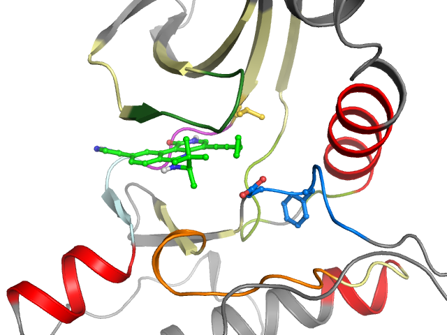 The orthosteric binding pocket