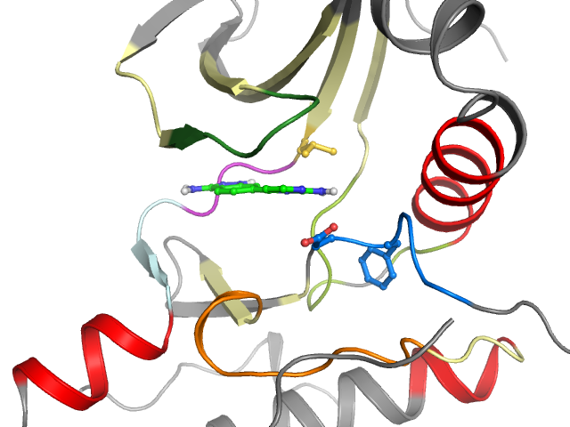 The orthosteric binding pocket