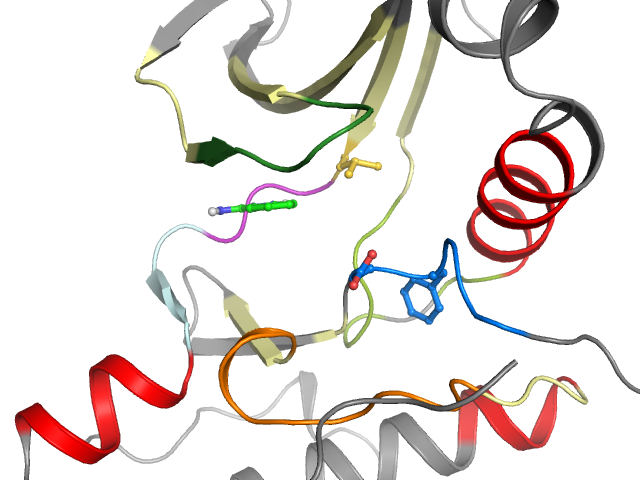 The orthosteric binding pocket