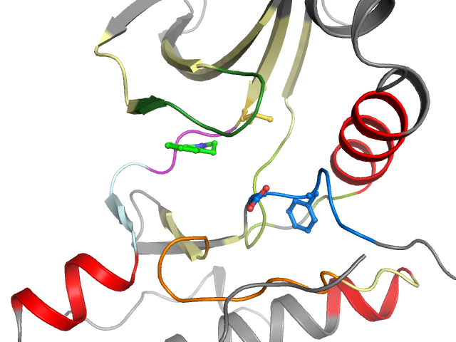 The orthosteric binding pocket