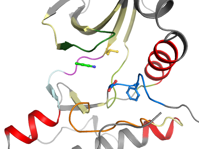 The orthosteric binding pocket