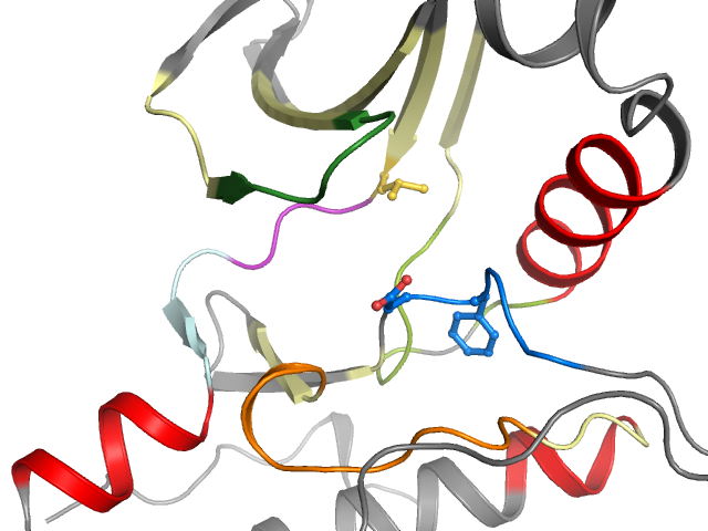 The orthosteric binding pocket
