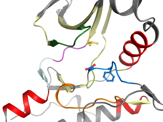 The orthosteric binding pocket