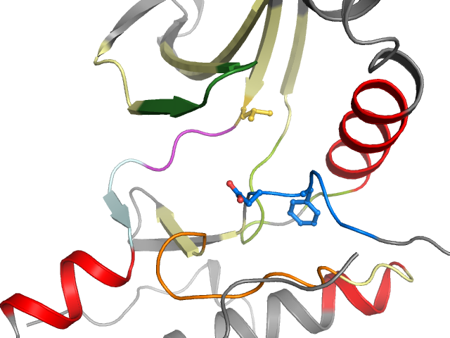 The orthosteric binding pocket