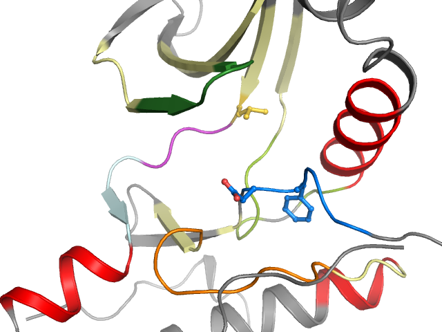 The orthosteric binding pocket