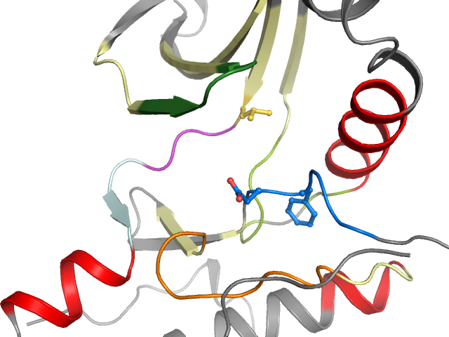 The orthosteric binding pocket