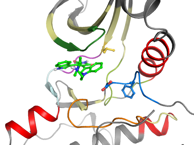 The orthosteric binding pocket