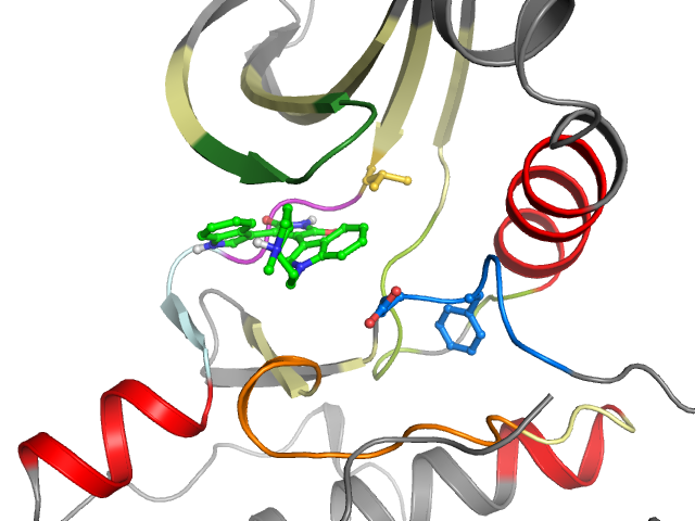 The orthosteric binding pocket