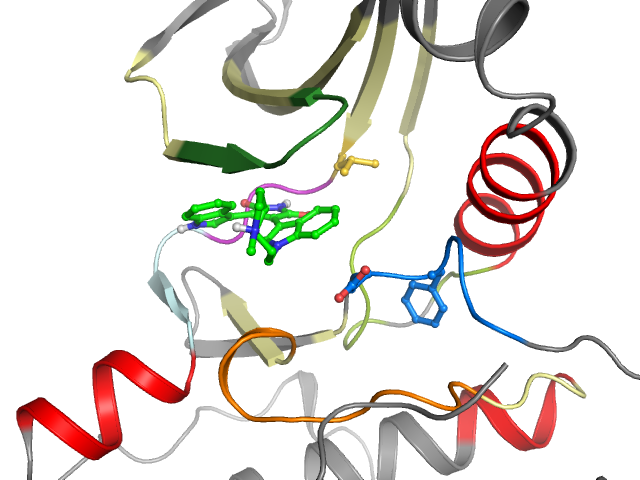The orthosteric binding pocket