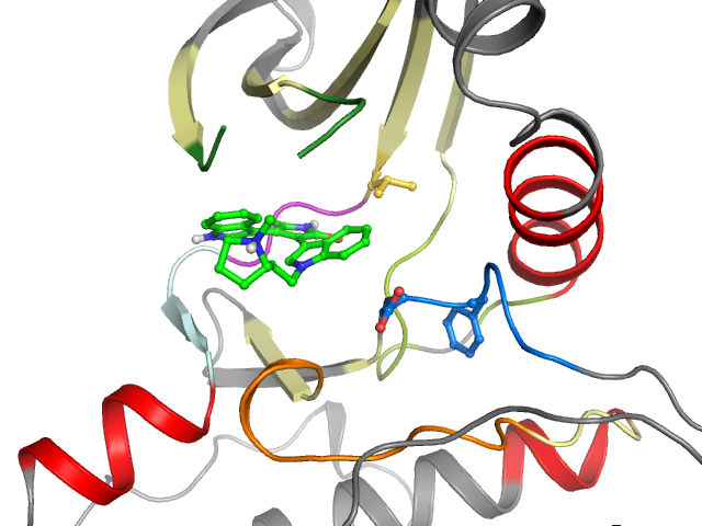 The orthosteric binding pocket