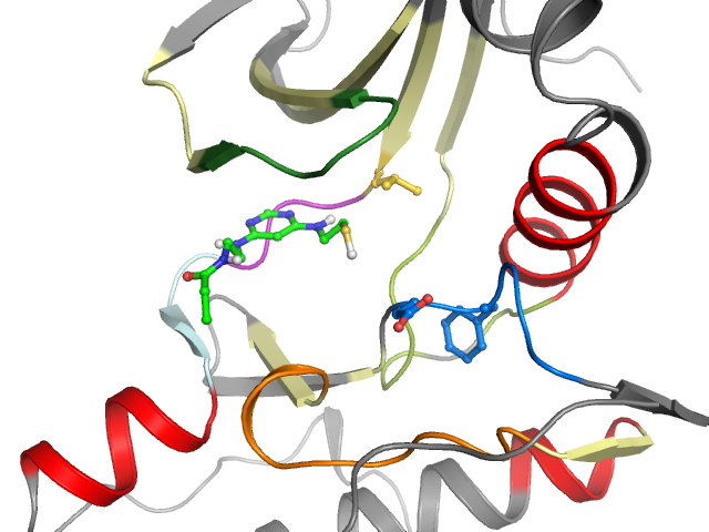 The orthosteric binding pocket
