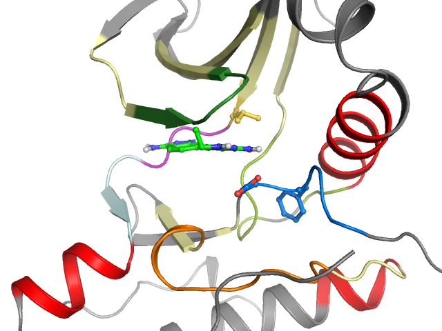 The orthosteric binding pocket