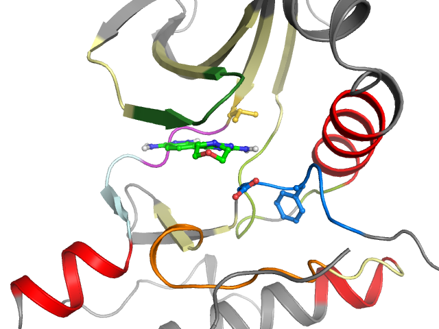 The orthosteric binding pocket