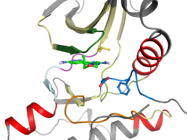 The orthosteric binding pocket