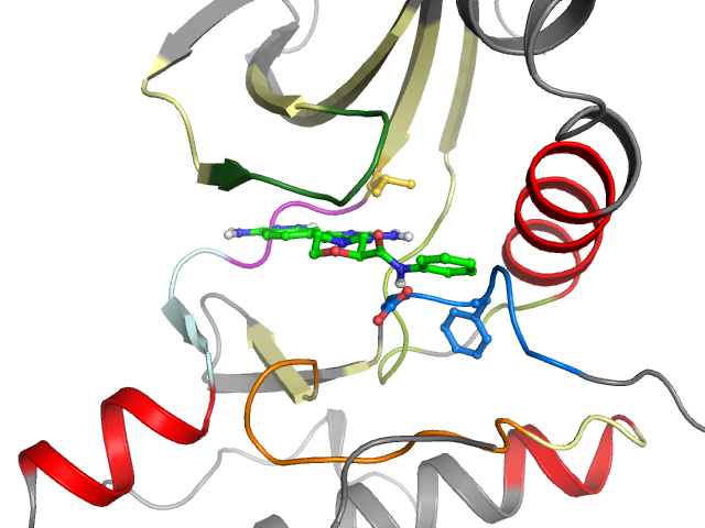 The orthosteric binding pocket