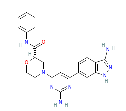 2D structure of the orthosteric ligand