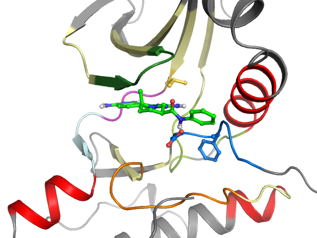 The orthosteric binding pocket