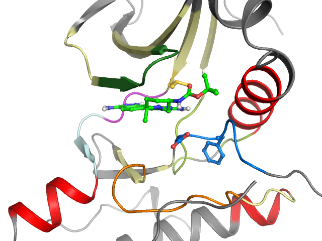 The orthosteric binding pocket